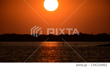 Golden sunset over Mannar lagoon, Sri Lanka. Glowing sun reflection on water and silhouetted birds in a tranquil coastal landscape 139128862