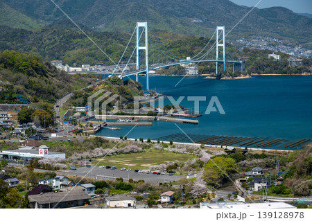 広島県呉市下蒲刈町の大平山中腹から見る春の安芸灘大橋 広島県呉市下蒲刈町の大平山中腹から見る春の安芸灘大橋 139128978