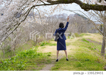 桜の下で手を挙げるスーツ姿の女性の後ろ姿 139129431