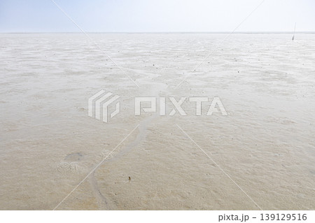 広大な有明海の干潟と水平線の風景 139129516