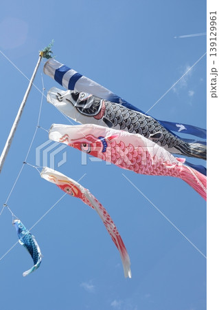 青空を泳ぐ鯉のぼり 139129961