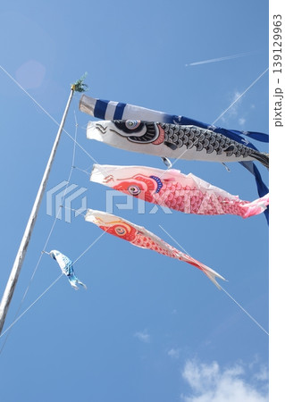 青空を泳ぐ鯉のぼり 139129963