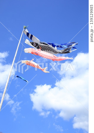 青空を泳ぐ鯉のぼり 青空を泳ぐ鯉のぼり 139129985