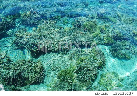 beautiful coral at blue sea with waves and blue sky, Gorontalo, Indonesia 139130237