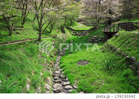 夢農場 満開となった渓流沿いの山桜 夢農場 満開となった渓流沿いの山桜 139130342