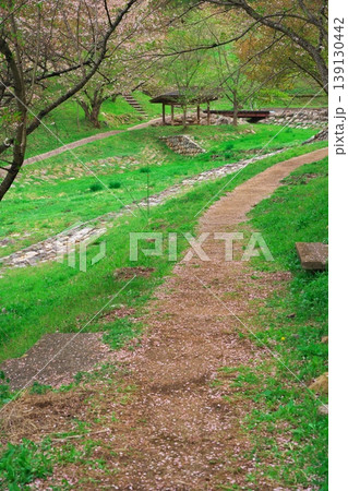 夢農場 山桜の花びらが舞い落ちた遊歩道 夢農場 山桜の花びらが舞い落ちた遊歩道 139130442