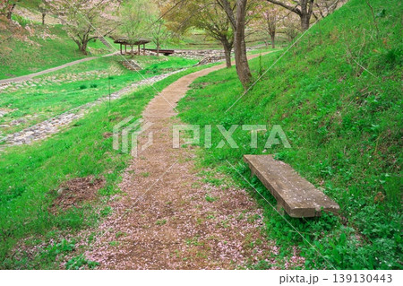 夢農場 山桜の花びらが舞い落ちた遊歩道とベンチ 夢農場 山桜の花びらが舞い落ちた遊歩道とベンチ 139130443