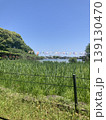 五月の風景・青空に泳ぐ鯉のぼりと新緑の公園・端午の節句のイベント・初夏の快晴・コピースペース 139130470