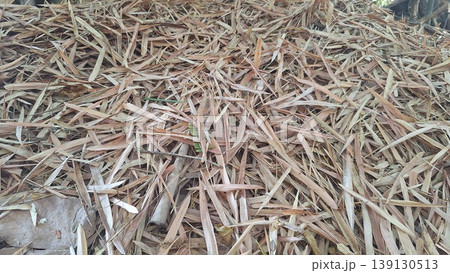 Natural texture of dried brown bamboo leaves piled on the ground Natural texture of dried brown bamboo leaves piled on the ground 139130513