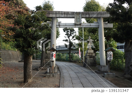 赤羽八幡神社にて(東京都北区) 赤羽八幡神社にて(東京都北区) 139131347