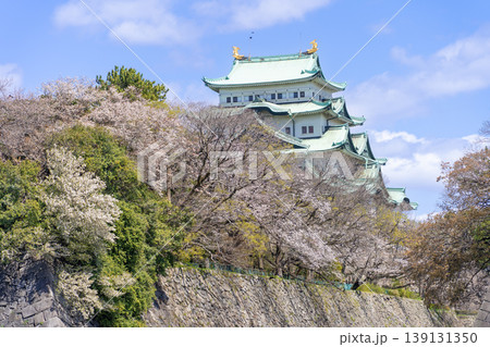 名古屋城と桜　西から 139131350