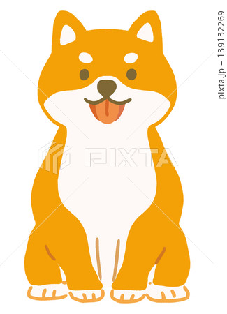 柴犬のかわいいベクターイラスト（正面） 139132269