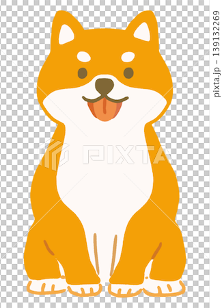 柴犬のかわいいベクターイラスト（正面） 139132269