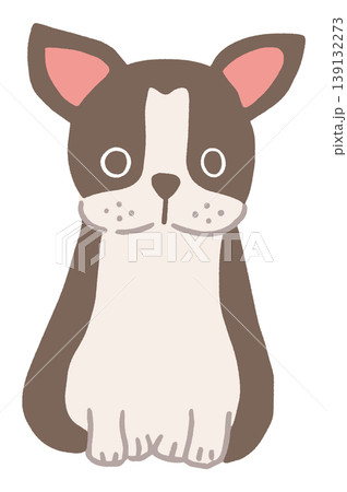 ボストンテリアのかわいいベクターイラスト 139132273