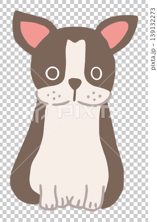 ボストンテリアのかわいいベクターイラスト 139132273
