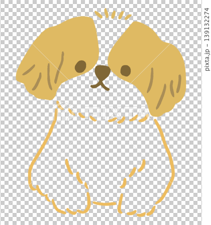 一隻坐著的西施犬的向量插圖 139132274