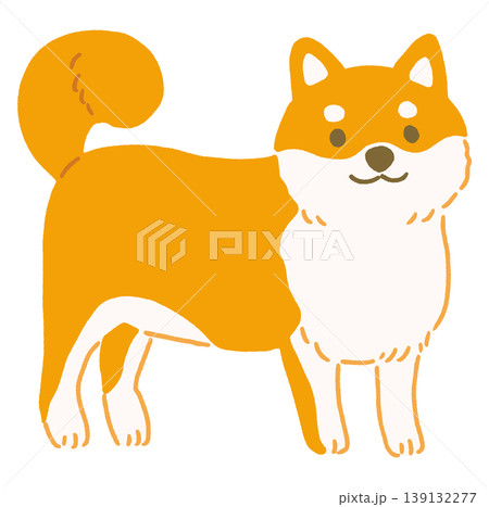 柴犬のかわいいベクターイラスト 柴犬のかわいいベクターイラスト 139132277