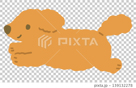 走るトイプードルのかわいいベクターイラスト 走るトイプードルのかわいいベクターイラスト 139132278