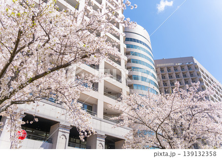 名大病院 (名古屋大学医学部附属病院)と桜 名大病院 (名古屋大学医学部附属病院)と桜 139132358