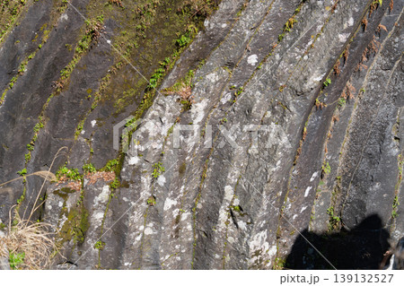 高千穂峡の柱状節理の岩肌テクスチャ(自然地形のディテール) 高千穂峡の柱状節理の岩肌テクスチャ(自然地形のディテール) 139132527