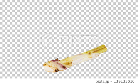 Udo (Japanese spikenard), a spring wild vegetable, cooking ingredient, transparent background. Udo (Japanese spikenard), a spring wild vegetable, cooking ingredient, transparent background. 139133010
