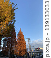 青空と紅葉した街路樹 秋の並木道の風景 139133033