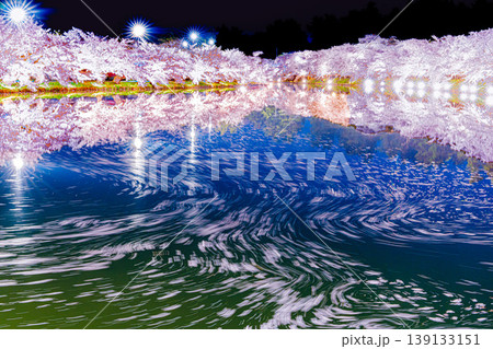 弘前さくらまつり 夜桜 弘前さくらまつり 夜桜 139133151