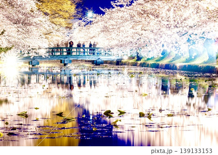 弘前さくらまつり 夜景 弘前さくらまつり 夜景 139133153