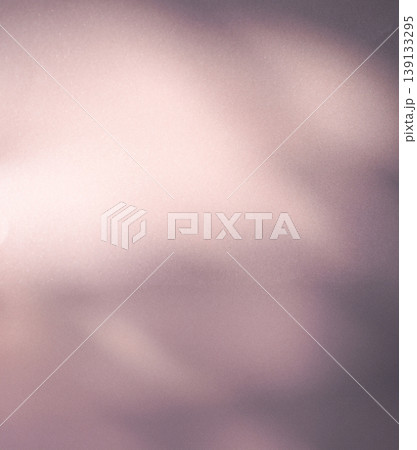 Shadow Leaves Premium Gradation Beige Background Texture blur Gradient Light Pastel Abstract Luxury Premium Mockup Peach Color Backdrop Template Valentine Summer Spring Overlay Neon Pink Flower Rose. Shadow Leaves Premium Gradation Beige Background Texture blur Gradient Light Pastel Abstract Luxury Premium Mockup Peach Color Backdrop Template Valentine Summer Spring Overlay Neon Pink Flower Rose. 139133295