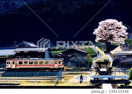 名松線と淡墨桜 名松線と淡墨桜 139133348