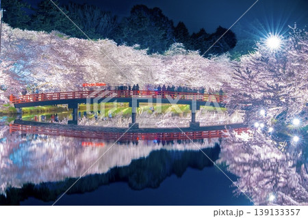 弘前さくらまつり 夜桜 弘前さくらまつり 夜桜 139133357