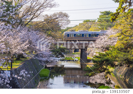 夙川公園の桜風景 夙川公園の桜風景 139133507