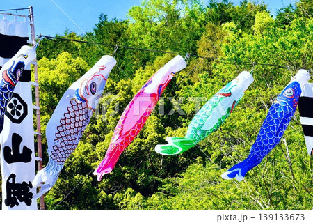 山里の空を泳ぐ鯉登り 山里の空を泳ぐ鯉登り 139133673