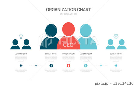 Organization company hierarchy chart Infographic template for with business avatar icons. vector illustration. 139134130