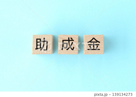 助成金の文字が書かれた木製のブロック 助成金の文字が書かれた木製のブロック 139134273