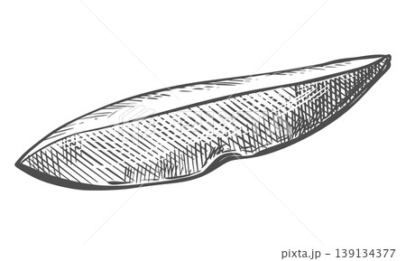 Sweet potato sketch. Vector illustration of the vegetable. A piece of unpeeled batat lies on a table. Hand drawn, imitating an engraving. Outline drawing of a yam, done in ink. Line drawing. Sweet potato sketch. Vector illustration of the vegetable. A piece of unpeeled batat lies on a table. Hand drawn, imitating an engraving. Outline drawing of a yam, done in ink. Line drawing. 139134377