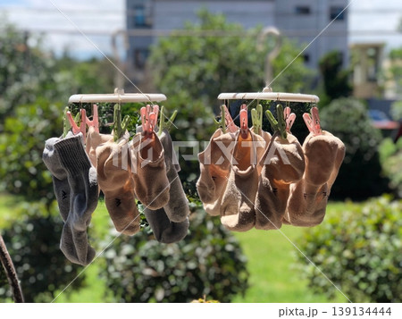 Socks hanging to dry on a clothesline, gently clipped with clothespins, showing different colors and patterns swaying in the air under natural sunlight after being freshly washed Socks hanging to dry on a clothesline, gently clipped with clothespins, showing different colors and patterns swaying in the air under natural sunlight after being freshly washed 139134444