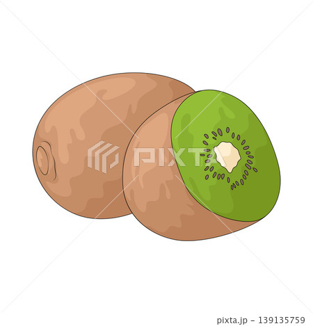 Illustration of Kiwi Illustration of Kiwi 139135759