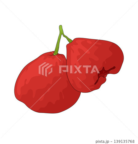 Illustration of Java Apple Illustration of Java Apple 139135768