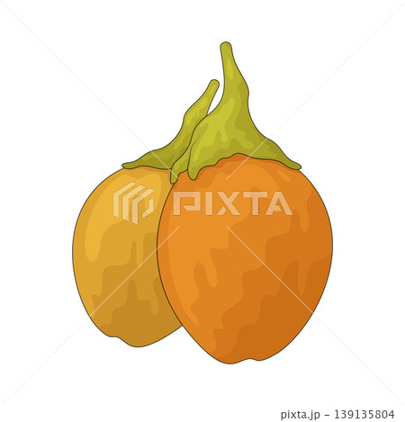 Illustration of Bush Tomato Illustration of Bush Tomato 139135804
