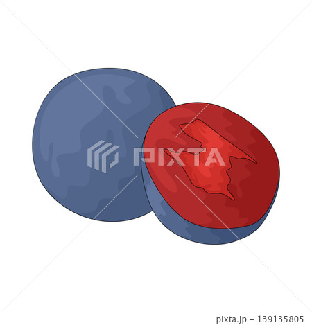 Illustration of Davidson Plum Berry 139135805