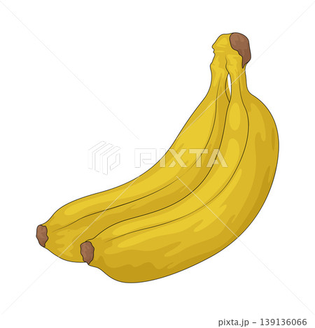 Illustration of Banana 139136066