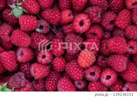Freshly harvested raspberries piled together in various shades of red showcasing their natural beauty and inviting texture in an outdoor setting Freshly harvested raspberries piled together in various shades of red showcasing their natural beauty and inviting texture in an outdoor setting 139136152