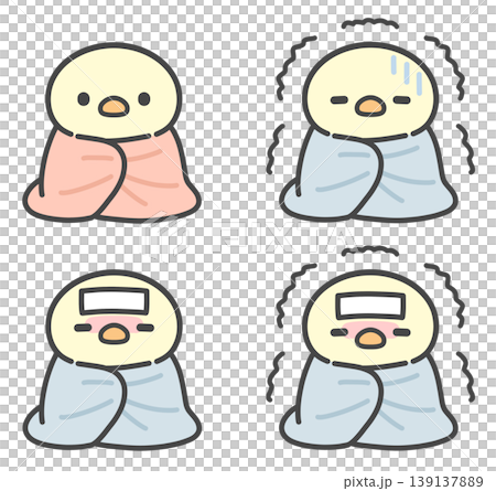 A set of hand-drawn illustrations of chicks wrapped in blankets. A set of hand-drawn illustrations of chicks wrapped in blankets. 139137889