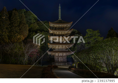 瑠璃光寺 瑠璃光寺 139137995