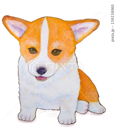 横座りするコーギーの子犬 139138060