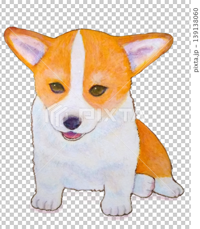 横座りするコーギーの子犬 139138060