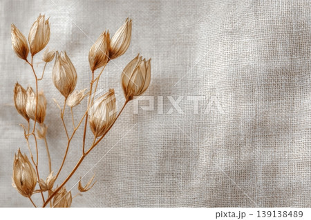 Dry grass close up. Selective focus. Beautiful withered plants on linen natural cloth. Creamy colour dried flowers. Abstract brown herbs. Pastel natural colors. Neutral Earth tones. Pampas, seeds 139138489