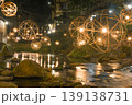 雪降る夜のイルミネーション 139138731