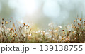 Autumn landscape nature. Dried flowers on the field, banner. Selective focus. Sweet meadow at sunset blurry background. Warm blurred grass on golden hour sunset or sunrise time. Tranquil fall backdrop 139138755